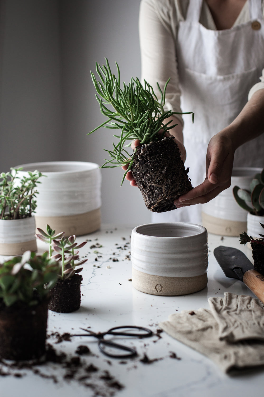 Trunk Garden Pot