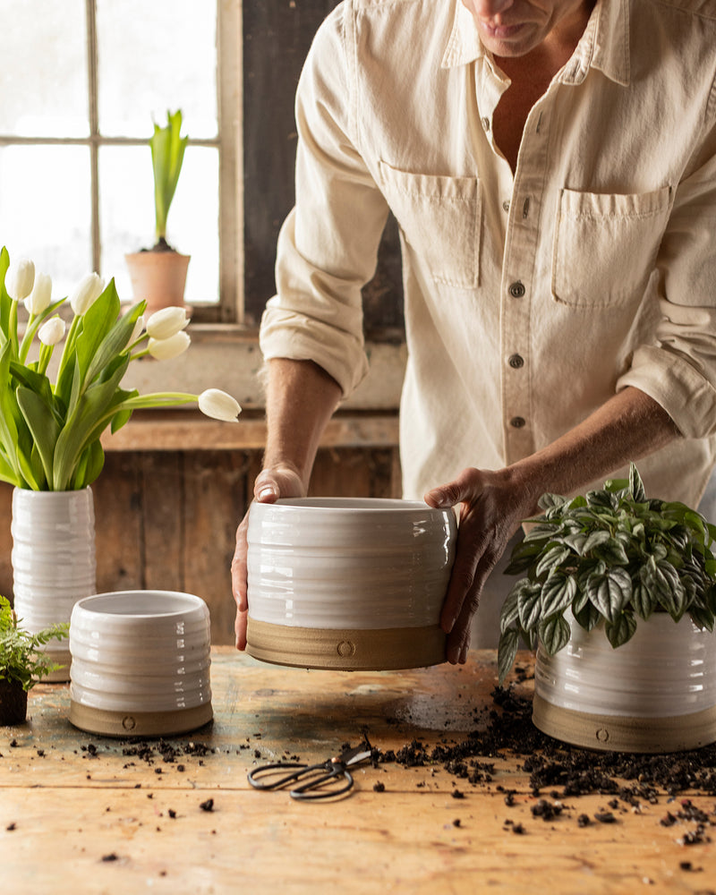 Trunk Garden Pot
