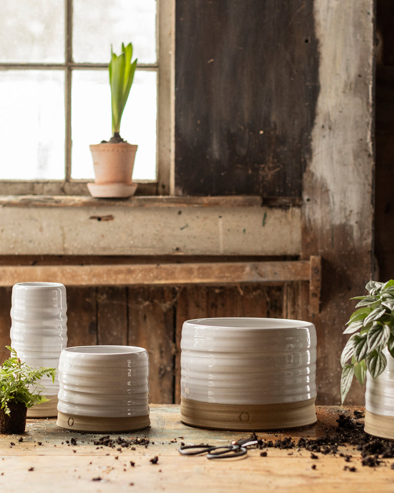 Trunk Garden Pot