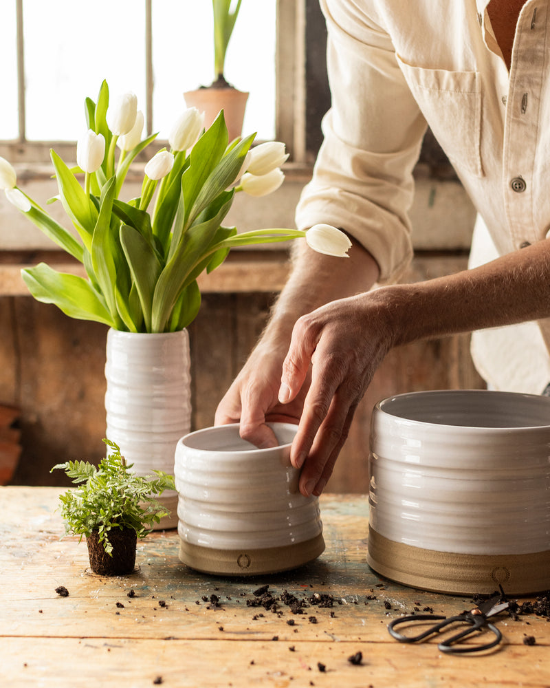 Trunk Garden Pot